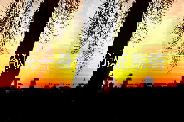 统一身份认证系统