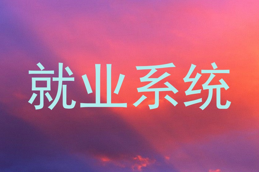 就业系统