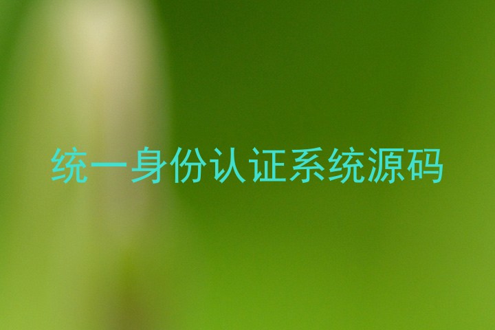 统一身份认证系统源码