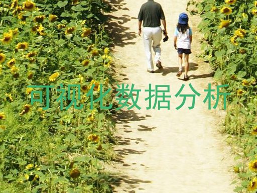 可视化数据分析