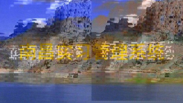 南昌实习管理系统