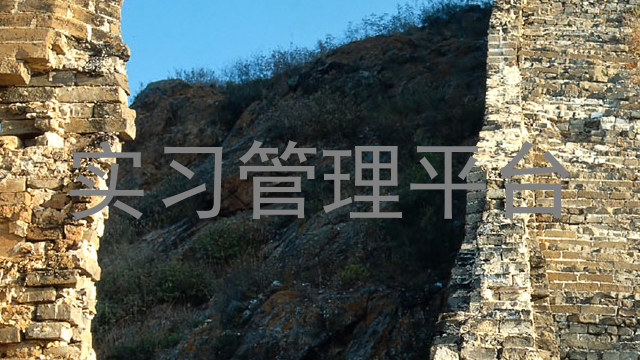 实习管理平台