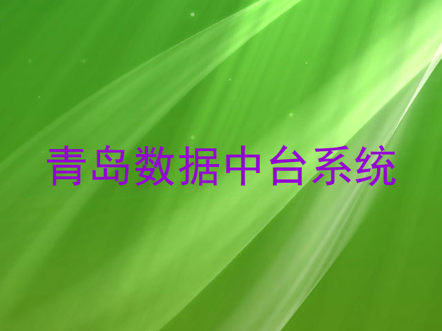 青岛数据中台系统