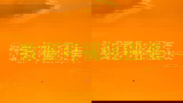 数据可视化图表
