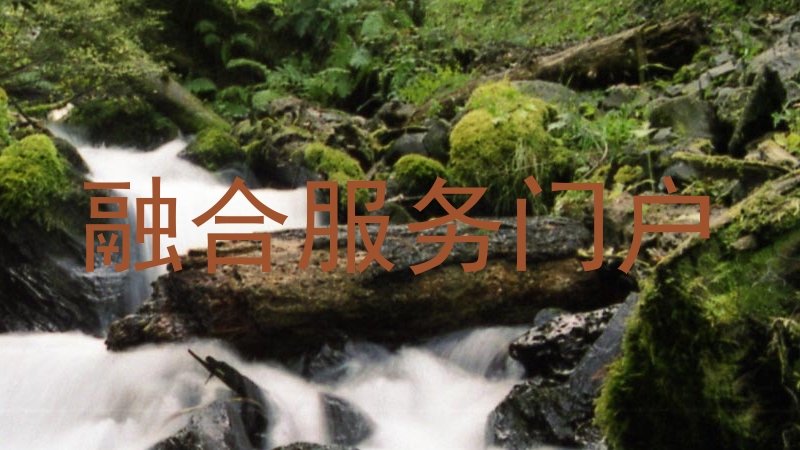 融合服务门户