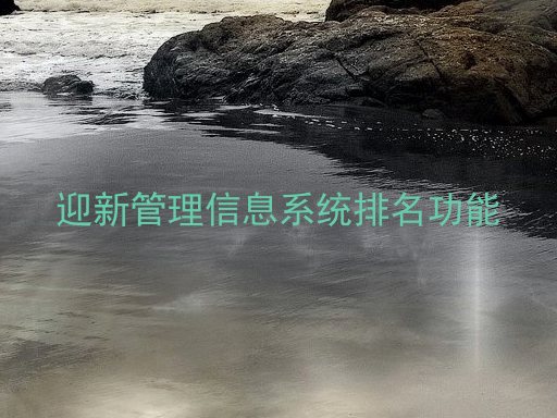 迎新管理信息系统排名功能
