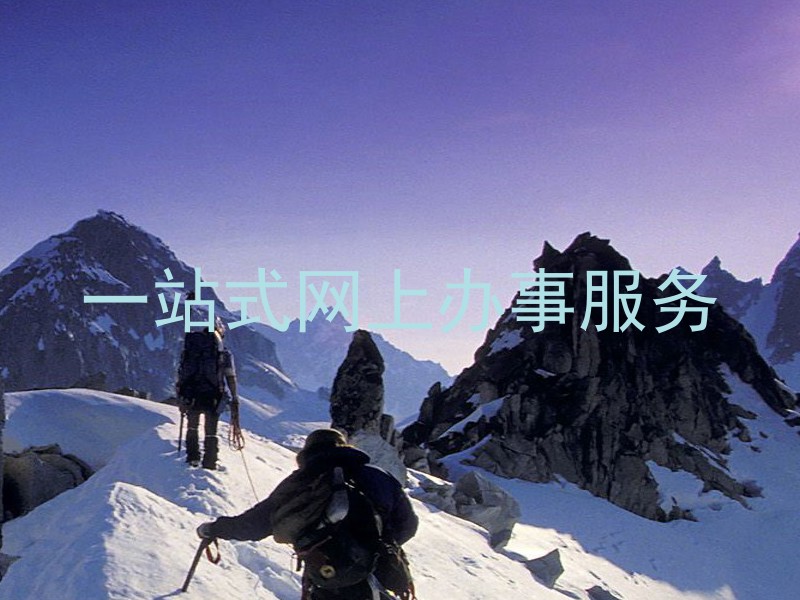 一站式网上办事服务
