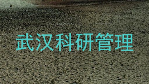 武汉科研管理