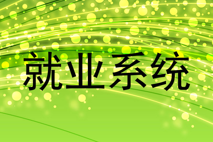 就业系统