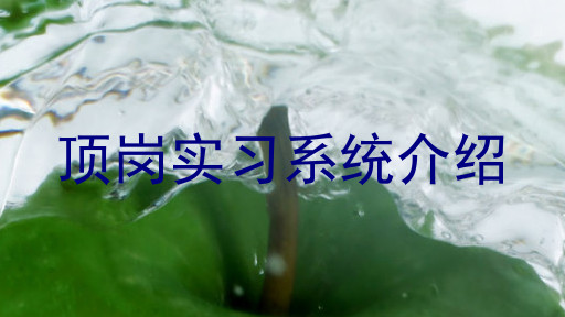 顶岗实习系统介绍