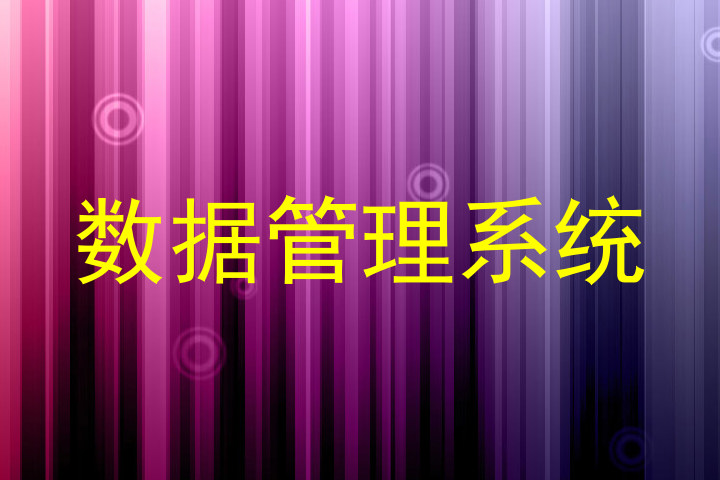 数据管理系统