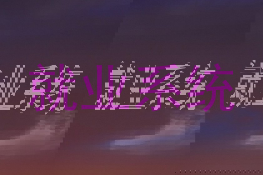 就业系统