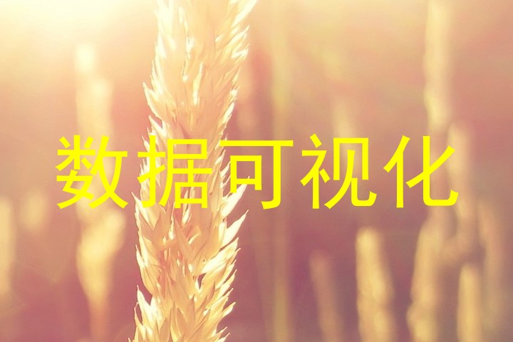 数据可视化