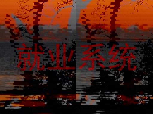 就业系统