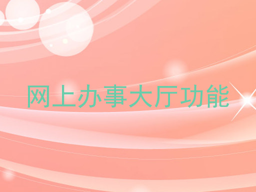网上办事大厅功能