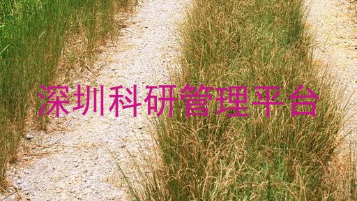 深圳科研管理平台