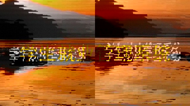 学生就业管理系统