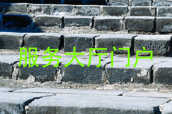 服务大厅门户