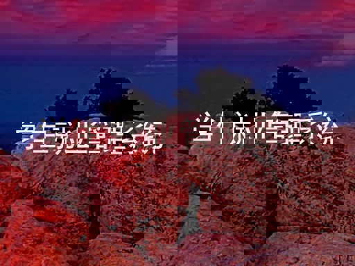 学生就业管理系统