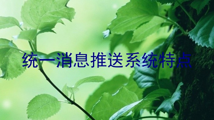 统一消息推送系统特点