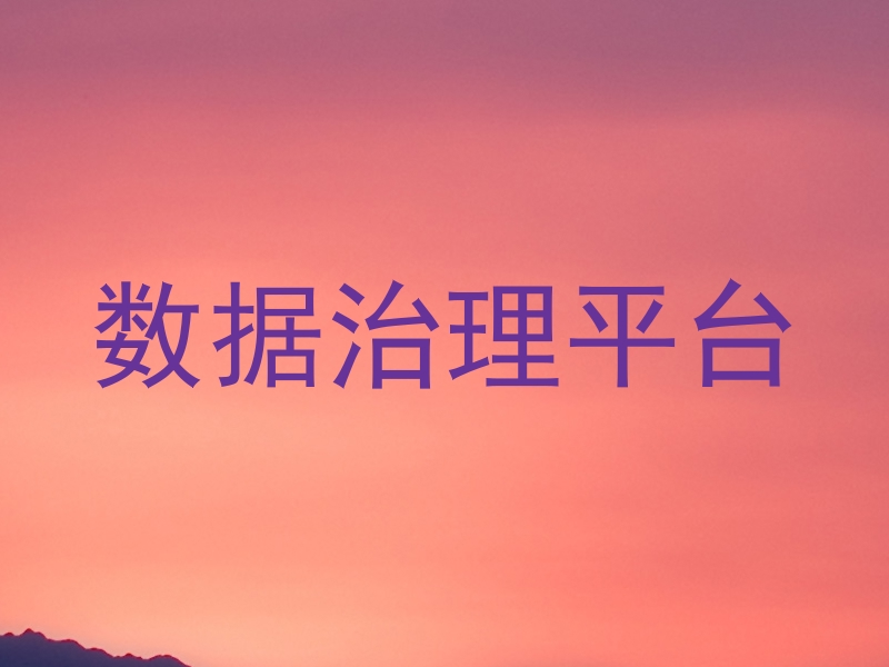 数据治理平台