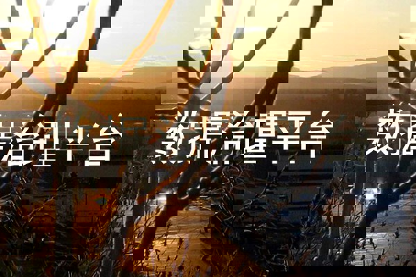 数据治理平台
