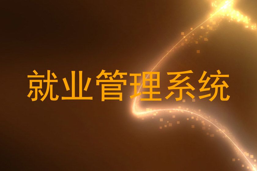 就业管理系统