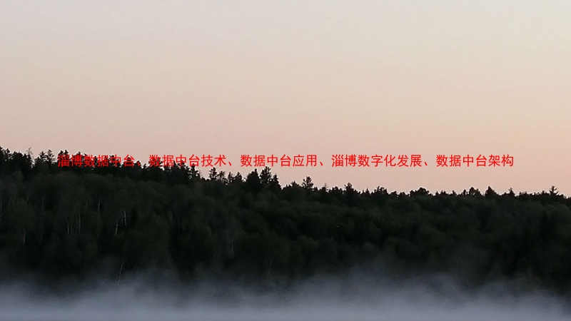 淄博数据中台、数据中台技术、数据中台应用、淄博数字化发展、数据中台架构