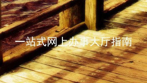 一站式网上办事大厅指南