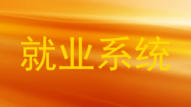 就业系统