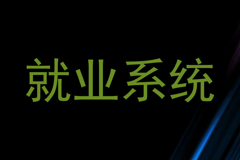 就业系统