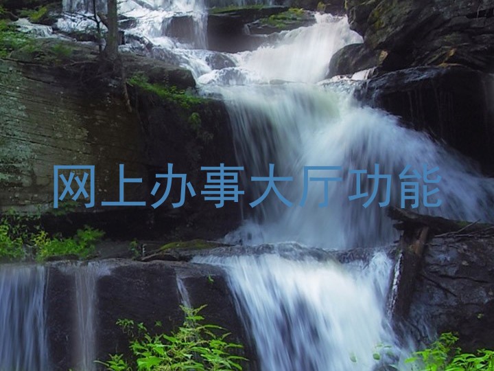 网上办事大厅功能