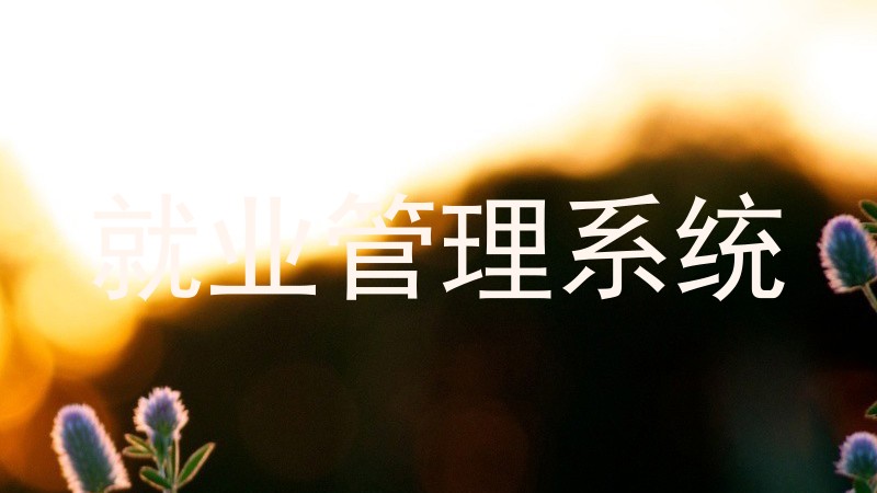 就业管理系统