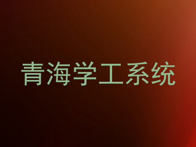 青海学工系统