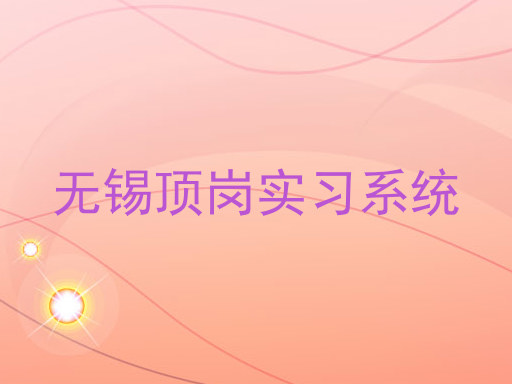 无锡顶岗实习系统