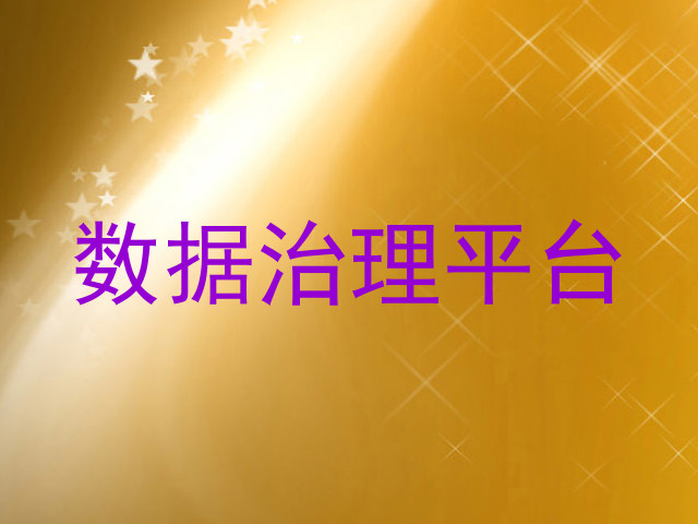 数据治理平台