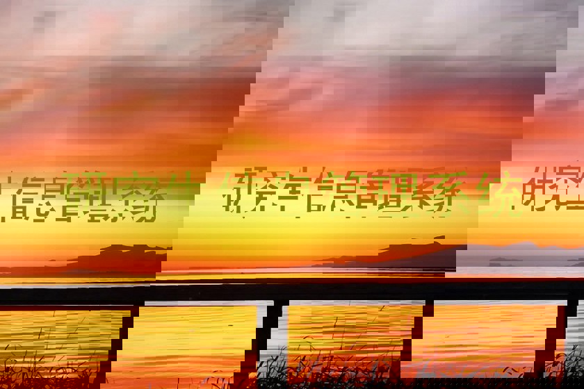 研究生信息管理系统