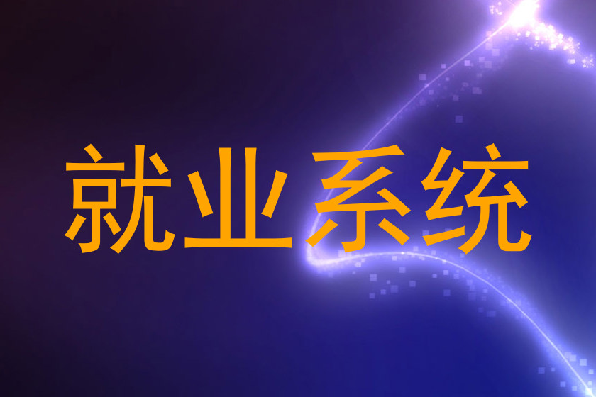 就业系统
