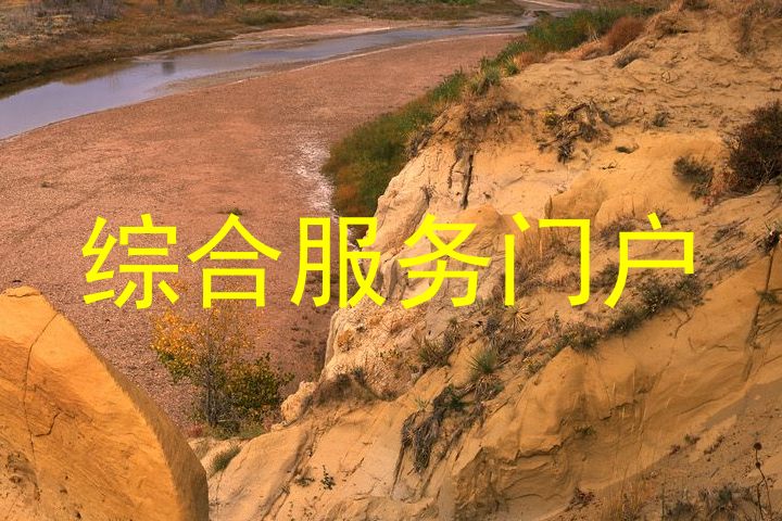 综合服务门户