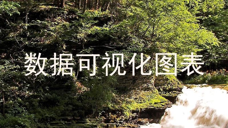 数据可视化图表
