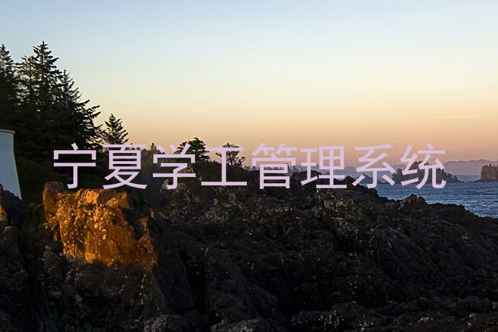 宁夏学工管理系统