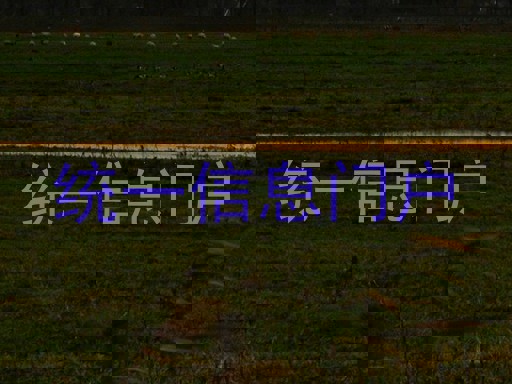 统一信息门户