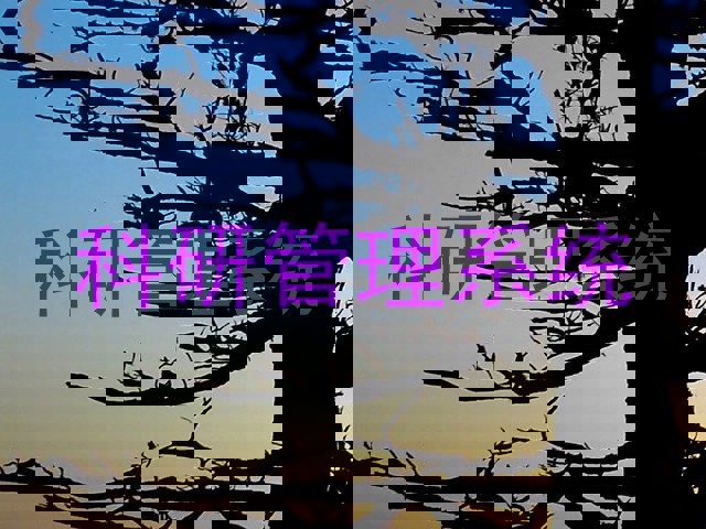 科研管理系统