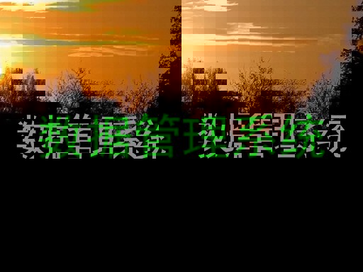 数据管理系统