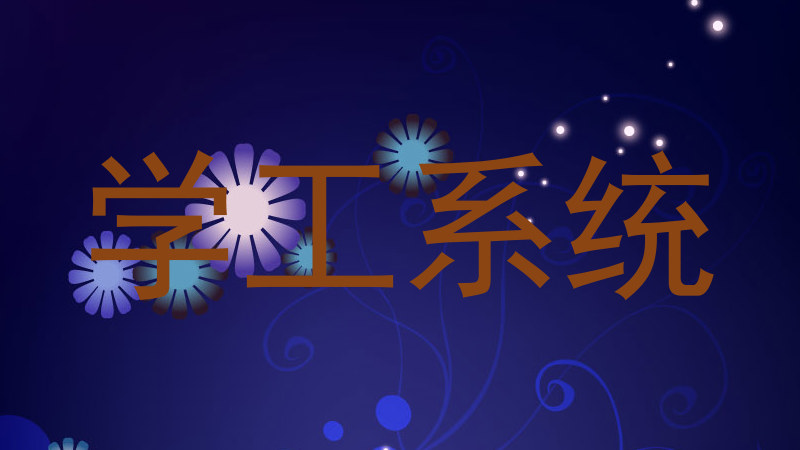 学工系统