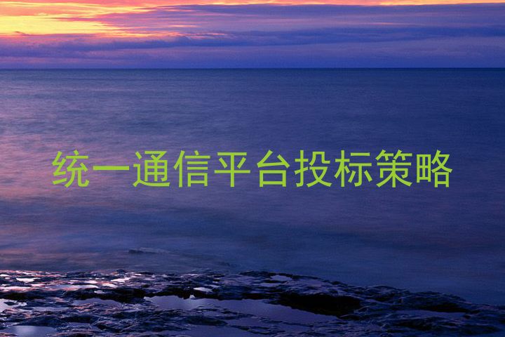 统一通信平台投标策略