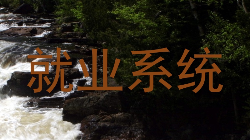 就业系统