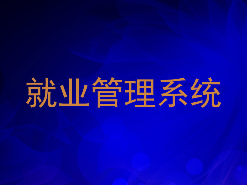 就业管理系统