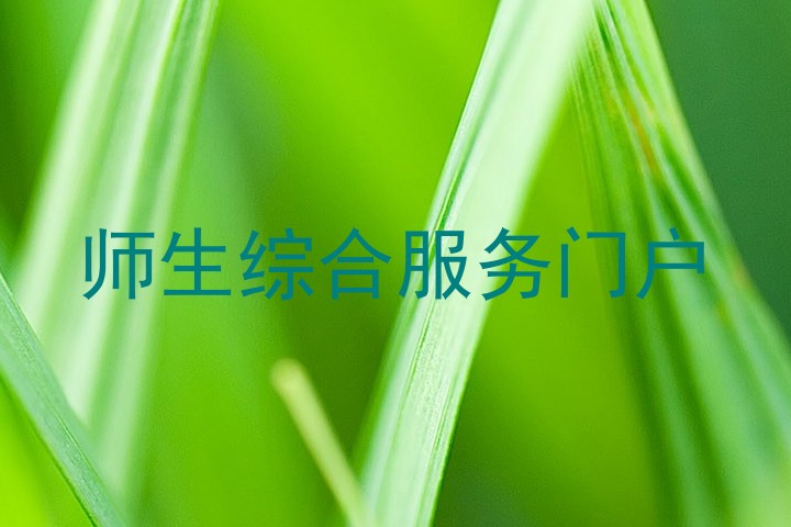 师生综合服务门户