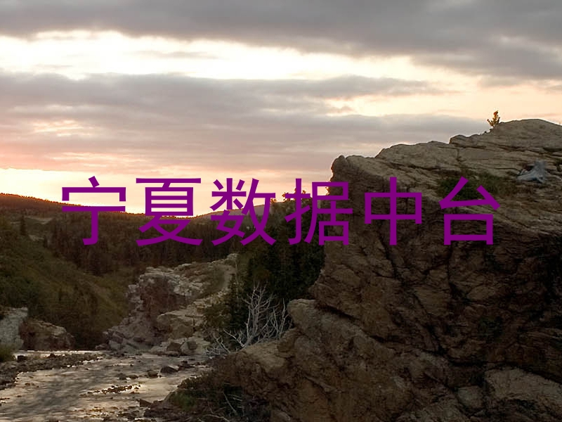 宁夏数据中台